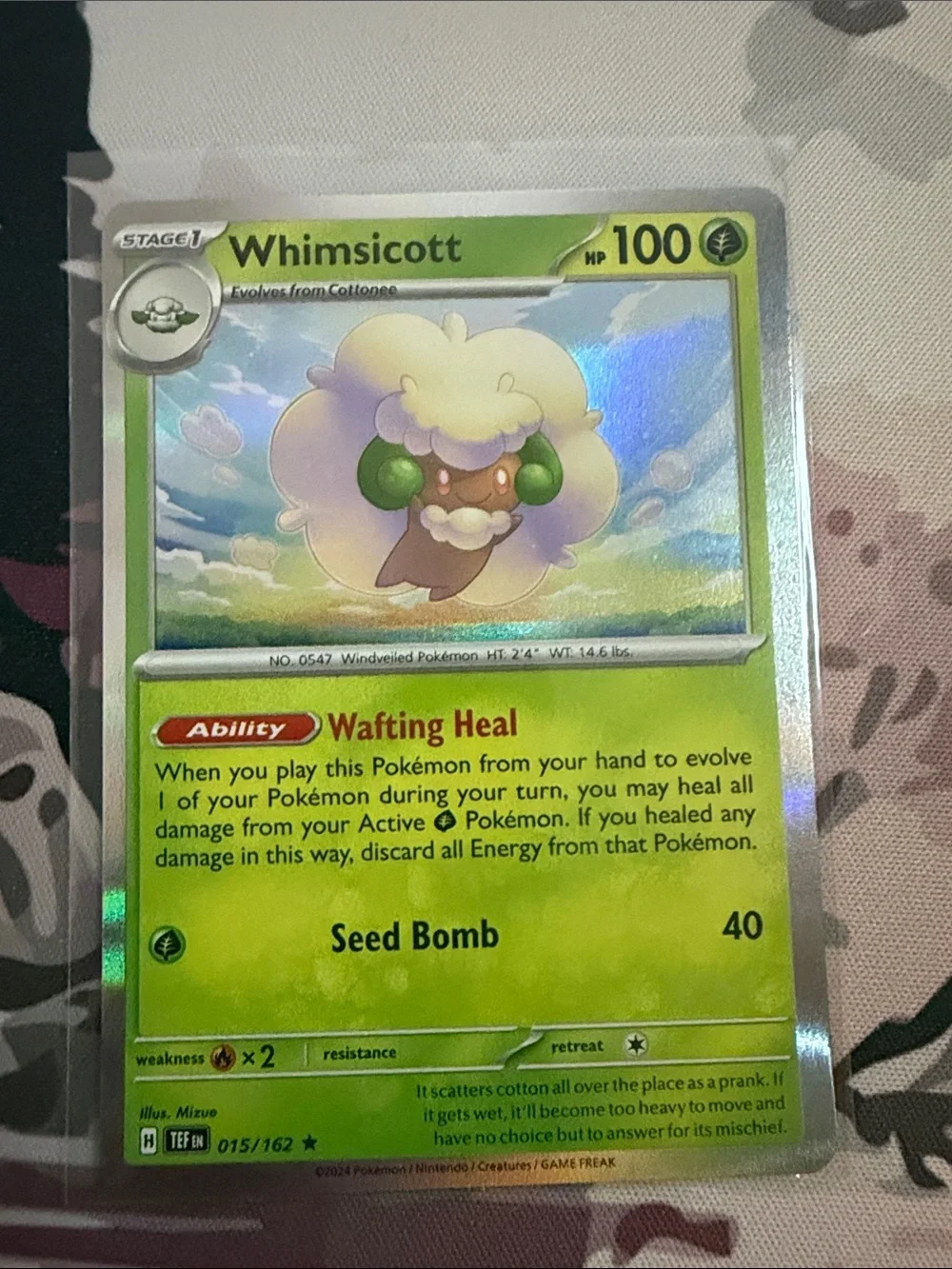 Cottonee & Whimsicott Pokémon Evolution Lot Holo Reverse Holo | 3 Cards ✨5/$25✨